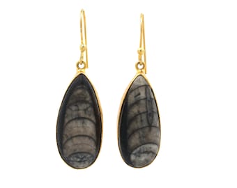 Orthoceras Fossil Gold Plated Earrings, Teardrop Jewelry, Brass Earrings