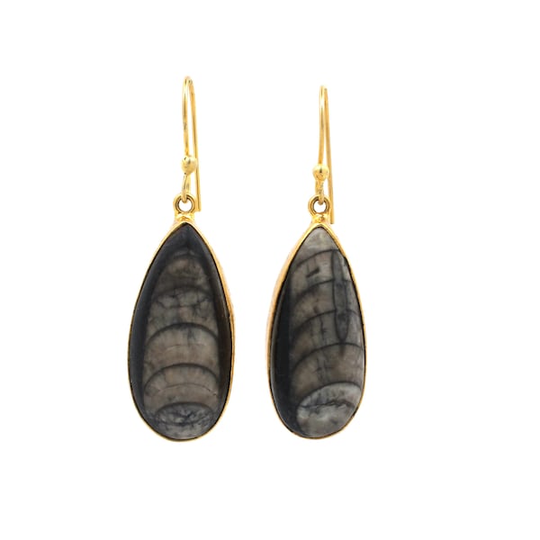 Orthoceras Fossil Gold Plated Earrings, Teardrop Jewelry, Brass Earrings