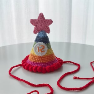 Peut inclure: Un chapeau de fête en crochet arc-en-ciel avec une étoile rose sur le dessus et un cercle blanc avec le numéro 12 en orange. Le chapeau est doté d'une ficelle en crochet rouge.
