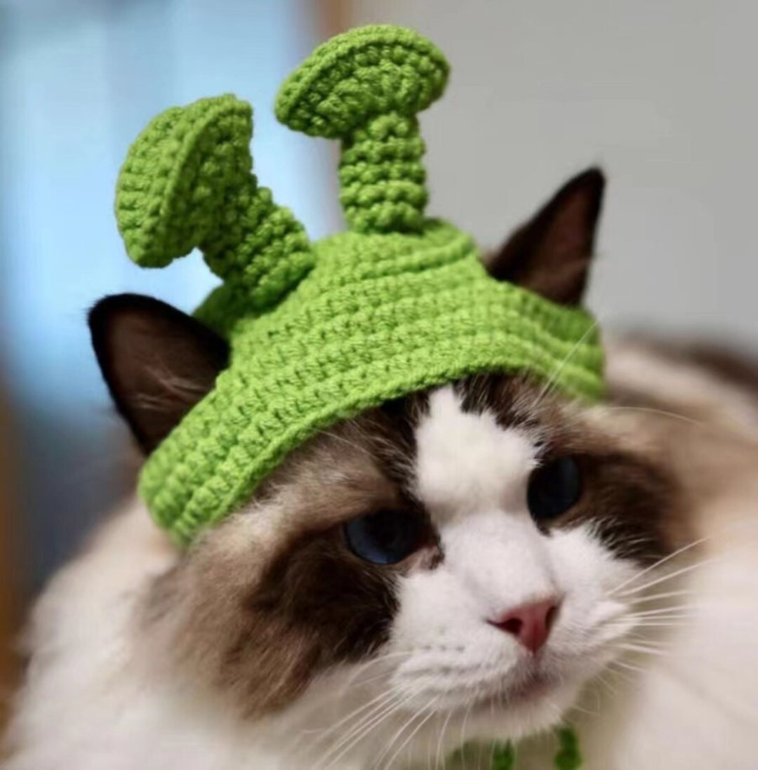 Crochet Hat for Cat,cat Accessories, Animal Accessories,crochet Animal