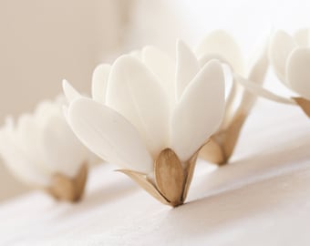 10 White Porcelain and Brass Magnolias for wall decoration, frames and panels