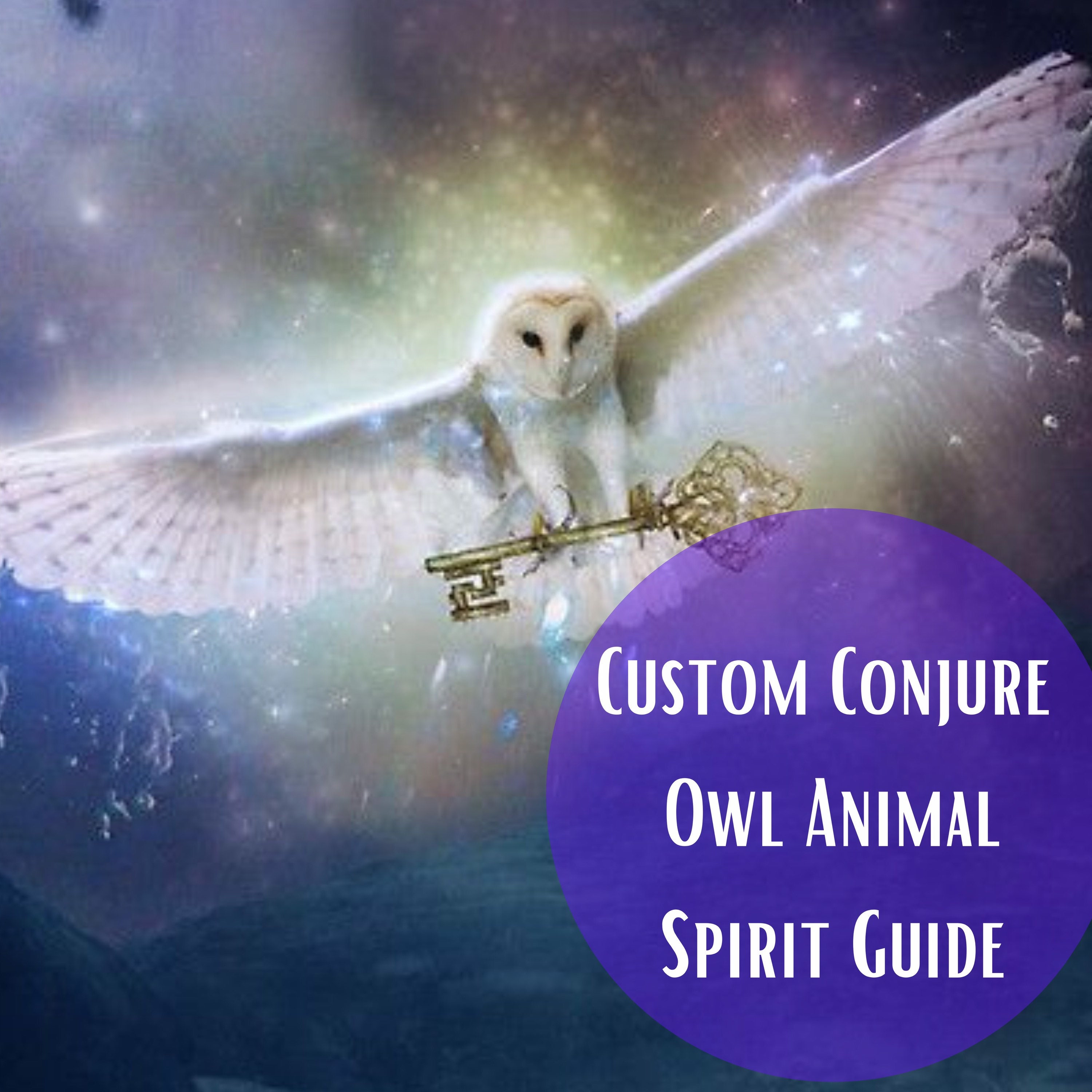 Custom Conjure Owl Animal Spirit Guides Spirit Companion Bring Wisdom