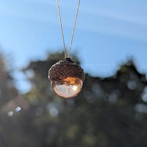 May include: A pendant featuring a natural brown acorn cap attached to a translucent, spherical amber-colored glass bead. The piece hangs from a thin, light-colored cord. The text Atelier Keimzelle is visible on the acorn cap.