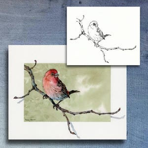 Handsome House Finch Coloring Page, Watercolor Print and Art Greeting Card, Song bird, wildlife, nature art, Peter Sheeler, sheelerart