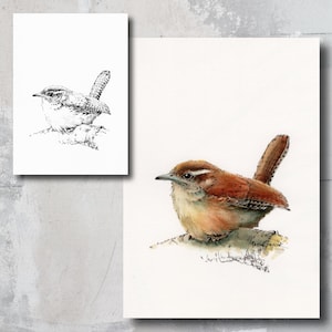 Stampa ad acquerello e pagina da colorare, dipingi insieme ai miei video, piccolo scricciolo, uccello, uccello canterino, fauna selvatica, arte per bambini, belle arti, Peter Sheeler
