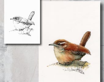 Aquarelprint en kleurplaat, verf mee met mijn video's, winterkoninkje, vogel, zangvogel, dieren in het wild, kinderkamerkunst, beeldende kunst, Peter Sheeler