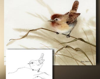 Kleine winterkoninkje aquarelprint, kleurplaat en kunstwenskaart, schattige babyvogel, dieren in het wild, 8 x 10, 5 x 7, beeldende kunst, Peter Sheeler sheelart
