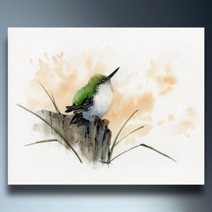 Stampa ad acquerello e biglietto di auguri di piccolo colibrì, grazioso uccellino, fauna selvatica, arte della natura, arte murale, arte per bambini, belle arti, Peter Sheeler