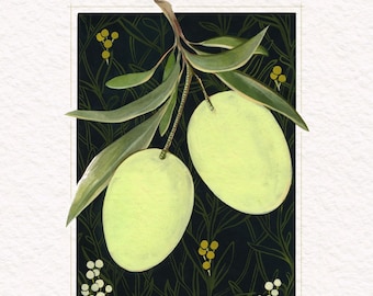 OLIVE Giclee Fine Art Print