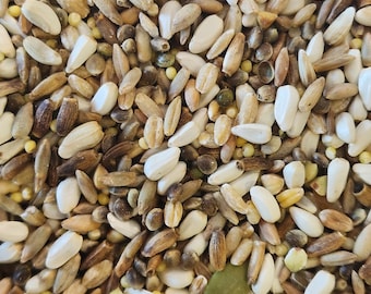 Pesticide Free Jodi’s Parrot Seed Mix