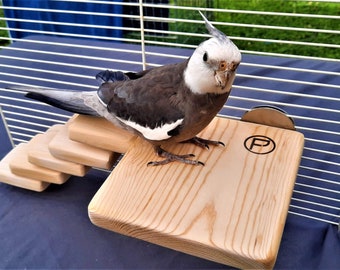 Handmade Flat Bird Perch: Non-Toxic Wood, Cockatiel & Parrot