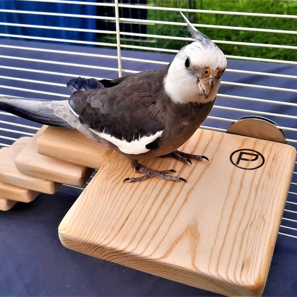 FLAT PERCH 6 x 6. Great for Small to Medium size birds Cockatiels, Parakeets, Conures.