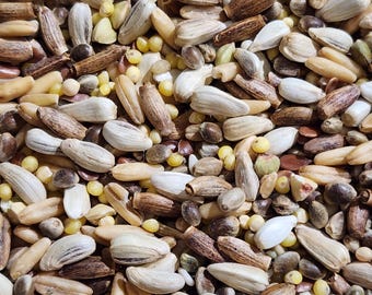 Pesticide Free Jodi’s Small Seed Mix