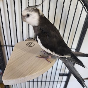 Small Bird Corner Perch, Cockatiels, Parakeets, Love Birds