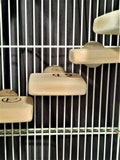 SMALL FLAT PERCH 2.5 x 3 (5pk) Canary’s, Love birds, Parakeets, and Finches