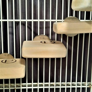 SMALL FLAT PERCH 2.5 x 3 (5pk) Canary’s, Love birds, Parakeets, and Finches