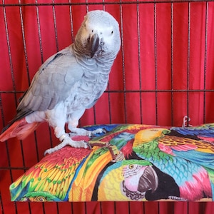 Bird Bed, Pillow Top Sheet