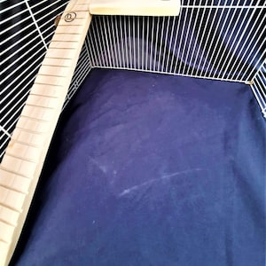 LONG Bird RAMP 2.5 X 19