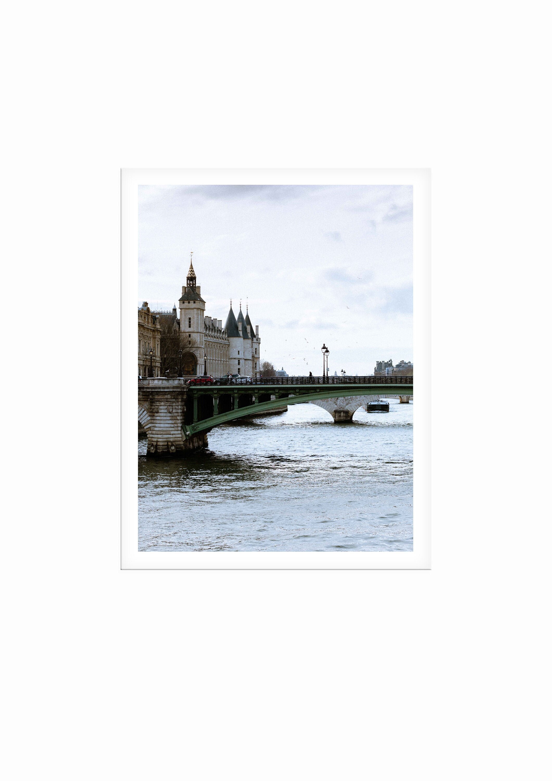 Tirage d'art Photographique à Paris Oiseaux Au-Dessus de La Seine Paris