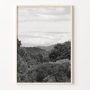 Tennessee Wall Art, Black and White Tennessee Print, Tennessee Poster, Tennessee Photo Decor, USA United States Artwork, C19-498