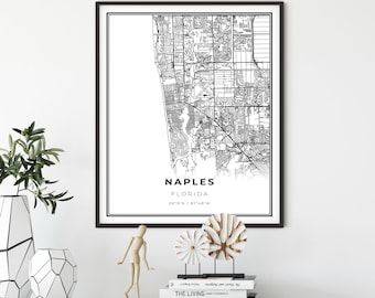 Naples Map Print, Florida FL USA Map Art Poster, Collier County City Street Map Wall Decor,minimalist poster art, gift for a doctor, NM44
