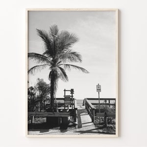 Florida palmboom print, zwart-witte muurkunst, poster VS, foto Florida, decor Noord-Amerika, kunst aan de muur Verenigde Staten, C19-93