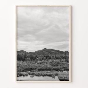 Michigan Landscape Photo: Black and White Wall Art
