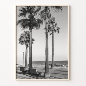 Tampa Shoreline Print, Black and White Tampa Wall Art, Florida Poster, Tampa Photo, Wall Decor, USA, C19-521