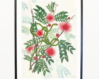 Stampa d'arte digitale della illustrazione naturalista in acquarello di mimosa rossa e serpente verde. Disponibile in più di una dimensione.