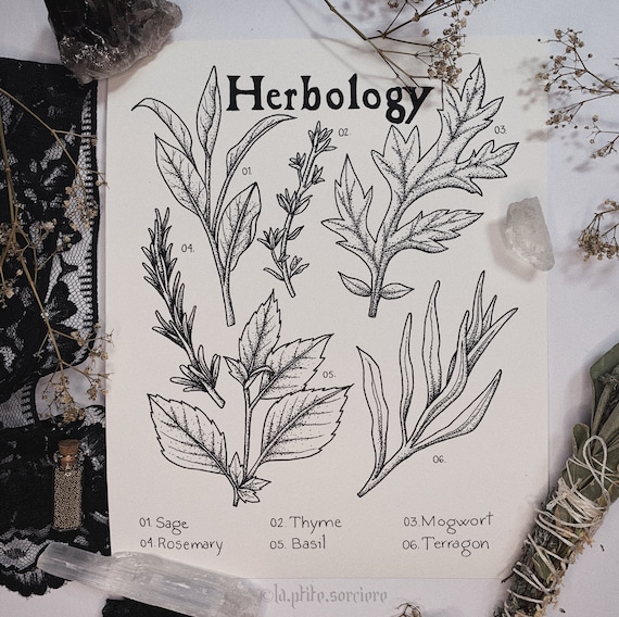 Herbology Art Print 8x10 Plants and Herbs Gothic Art | Etsy