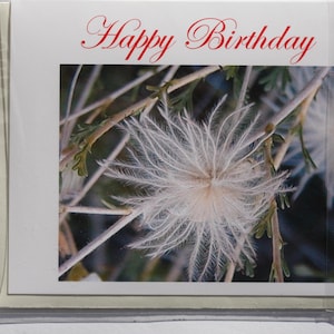 誕生日カード、在来種の花、写真