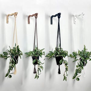 Wavy Wooden Hook and Macrame Plant Hanger - Wall Mounted Hanging Planter