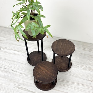 May include: Three tiered plant stands featuring circular dark brown wooden tops and bases connected by black cylindrical metal supports. The tallest stand holds a light-colored ceramic pot containing a green leafy plant with pointed foliage.