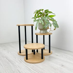 Indoor Plant Stand Set – 3 Wooden Plant Risers for Small Plants