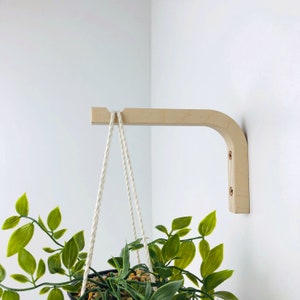 Puede incluir: Un soporte de pared para plantas hecho de madera clara con un dise&ntilde;o curvo, fijado con dos tornillos visibles. Una cuerda blanca trenzada cuelga del extremo con muesca del soporte, sosteniendo una planta verde en una maceta.