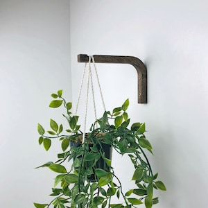 Puede incluir: Un soporte de pared de madera en forma de L de color marr&oacute;n oscuro montado con dos tornillos visibles, que sostiene una maceta colgante de pl&aacute;stico negro. La maceta contiene una planta verde colgante de hojas puntiagudas sujeta por cuerdas blancas.