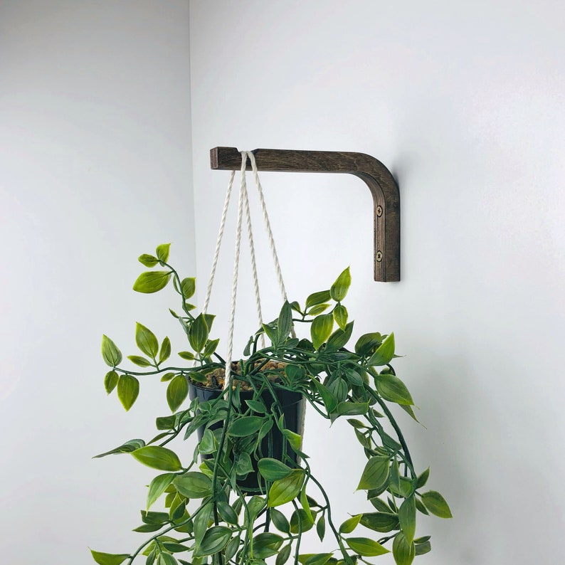 Puede incluir: Un soporte de pared de madera en forma de L de color marr&oacute;n oscuro montado con dos tornillos visibles, que sostiene una maceta colgante de pl&aacute;stico negro. La maceta contiene una planta verde colgante de hojas puntiagudas sujeta por cuerdas blancas.