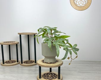 Wooden Mandala Plant Stand Set: Round Plant Display
