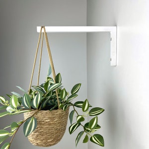 May include: A white shelf bracket with a hanging plant in a woven basket. The plant has green and white striped leaves.