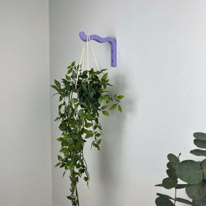 May include: A lavender-colored wooden plant hanger with a curved design, mounted on a white wall. A hanging plant with green leaves is suspended from the hanger.