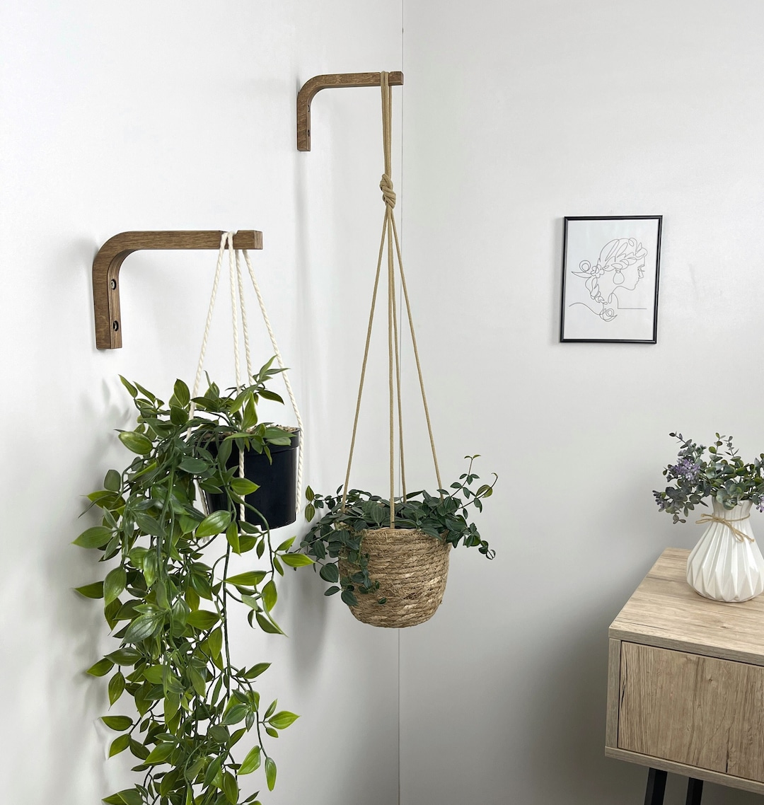 Innovative Indoor Plant Hooks for Wall: Transform Your Space with Stylish Hanging Solutions