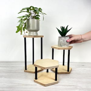 Könnte beinhalten: Drei Pflanzenständer aus Holz mit schwarzen Metallbeinen. Die Ständer haben eine sechseckige Ober- und Unterseite. Einer der Ständer hält eine grüne Pflanze in einem grauen Topf. Die Ständer sind unterschiedlich hoch.