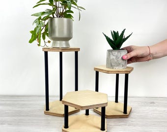 May include: Three wooden plant stands with black metal legs. The stands have a hexagonal top and base. One stand holds a green plant in a gray pot. Another stand holds a small succulent in a concrete pot. The stands are of varying heights.