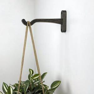 Indoor Wandhalterung Haken für Hängepflanzen | Moderne Blumenampel aus Holz | Mooreiche Farbe | 20 cm