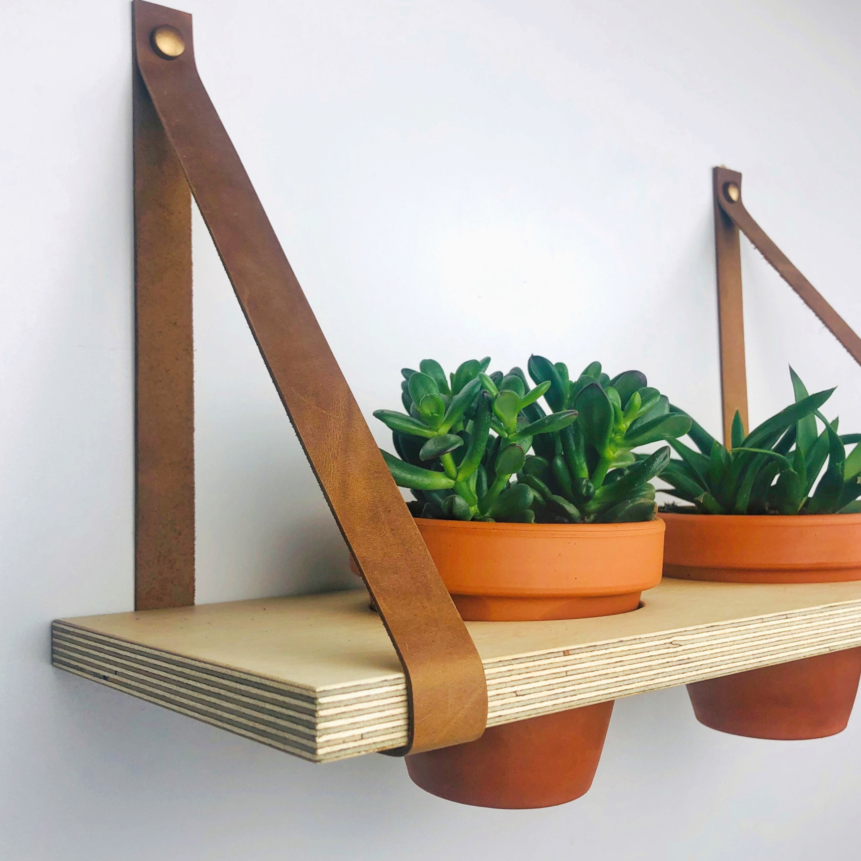 Indoor Hanging Plant Shelf Wood Wall Plant Holder Floating Etsy