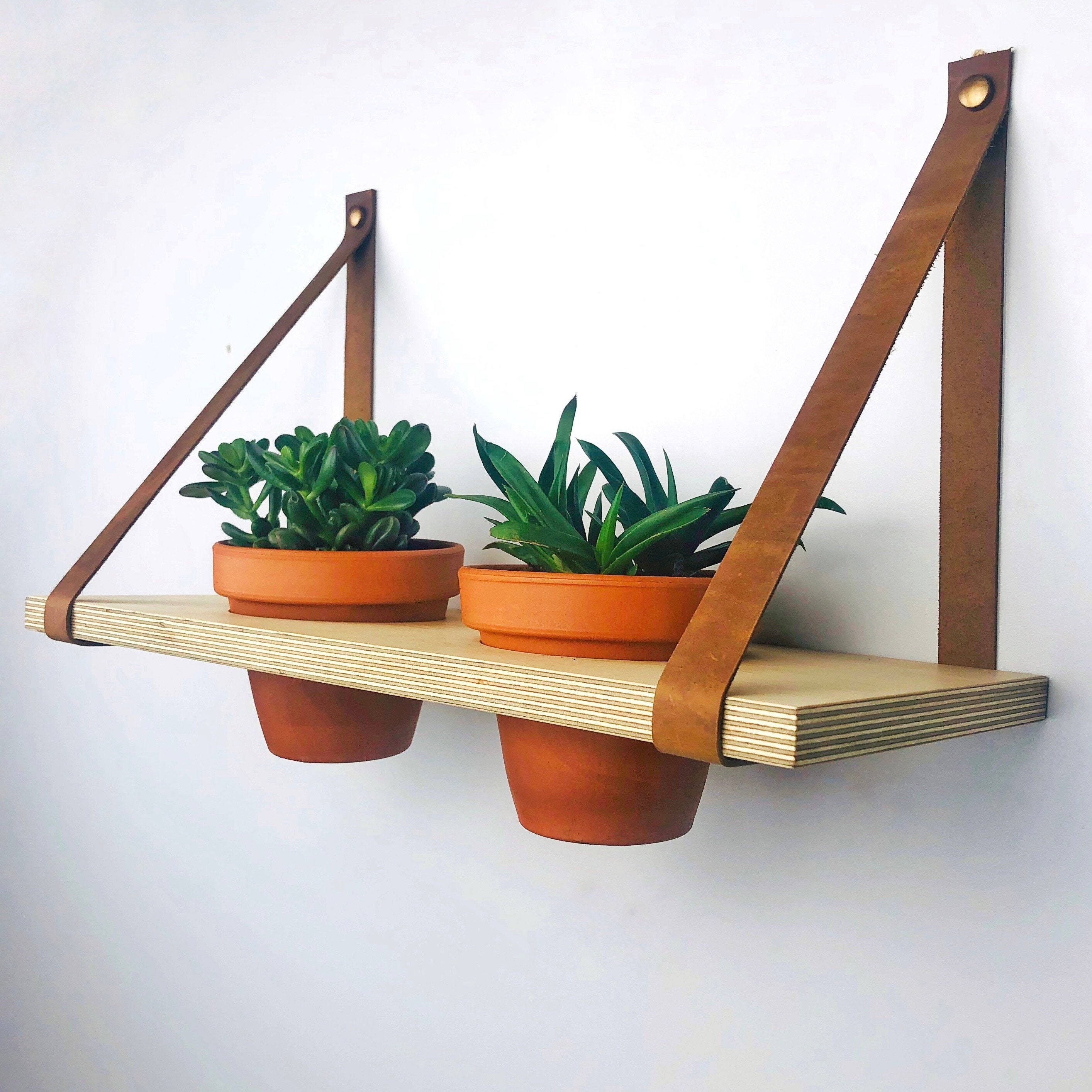 Indoor/outdoor plant shelf with holes Wall floating herb shelf Etsy