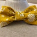 see more listings in the Bow/Bowties section