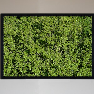 デジタルプリントダウンロードカラー植生緑の木々ミニマルギフトウォールアート