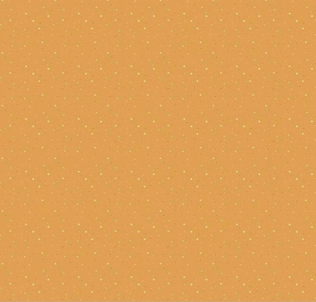 Starlight Riley Blake Pattern END OF BOLT 9 Riley Blake Silent Night Fabric Kollektion Desert on ...