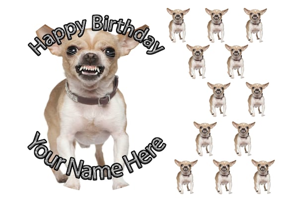 Angry Chihuahua Dog Birthday Personalised 7 5 Inch Round Cake Etsy